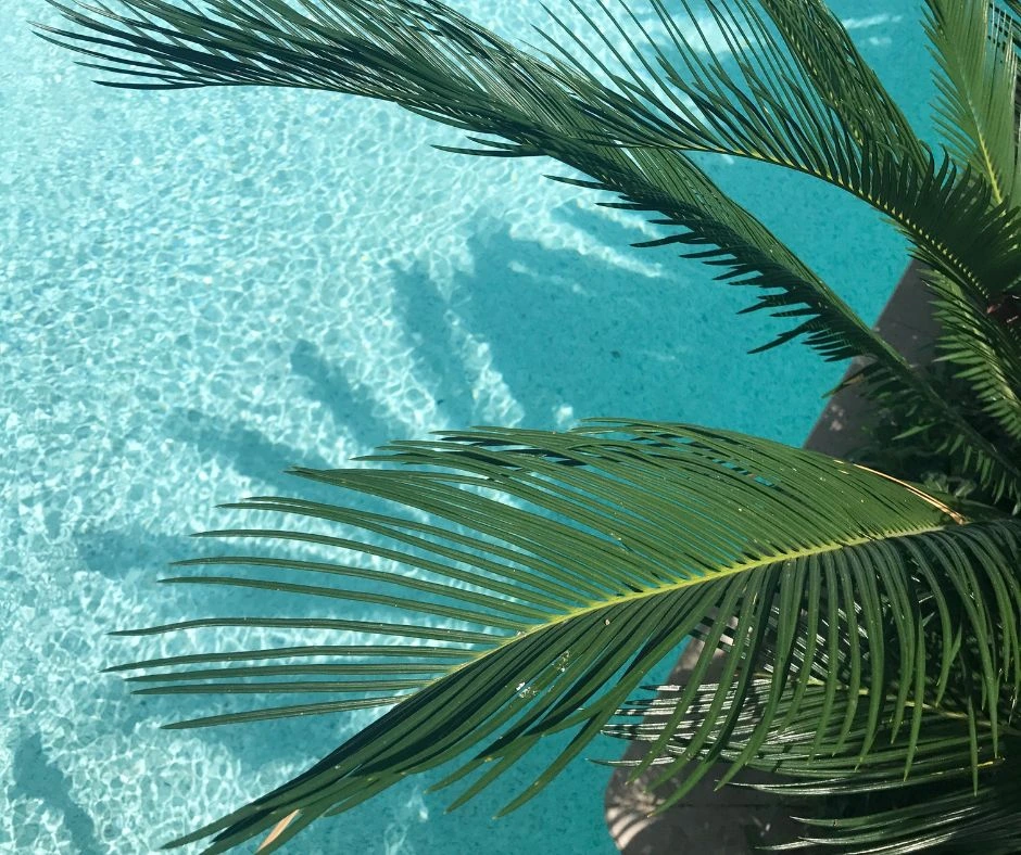 Offerte-Estate-Hotel-Spa-Salerno Offerte-Estate-Hotel-Spa-Salerno